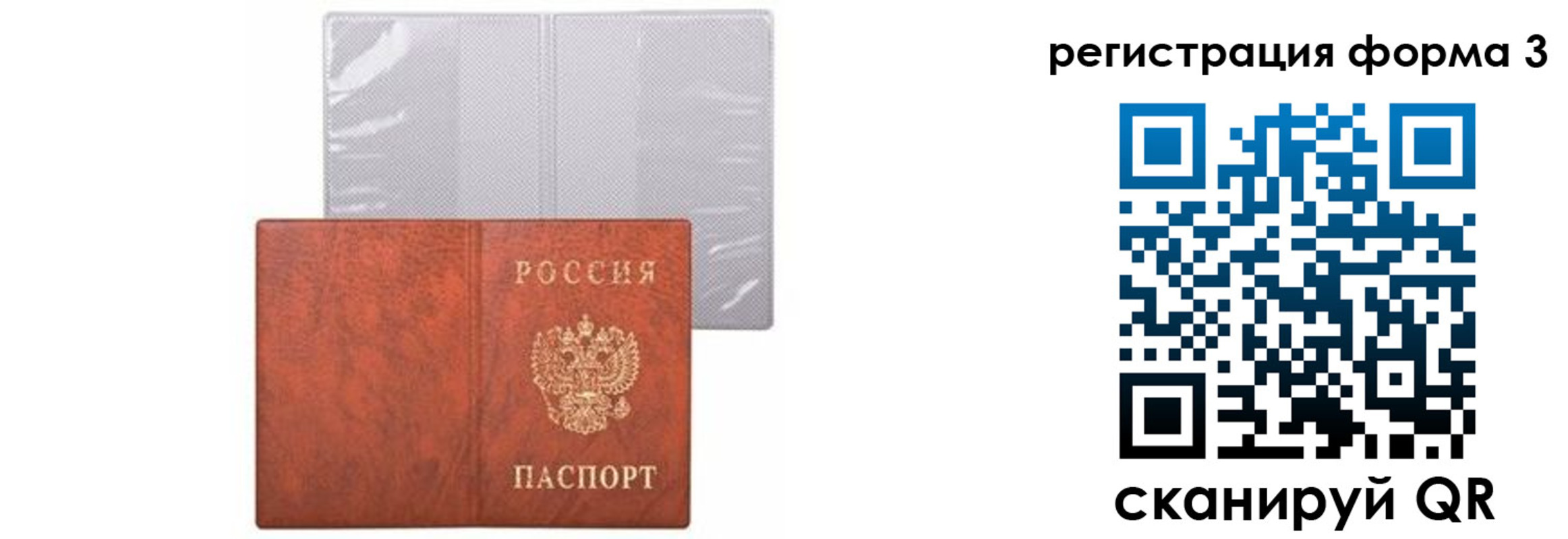прописка 2025 в Котово